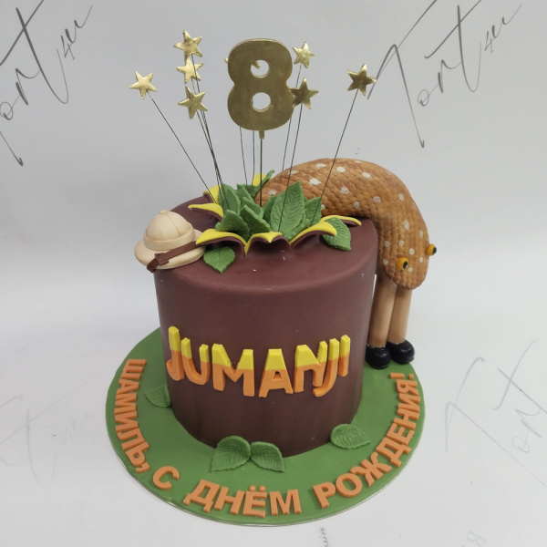 Торт Джуманджи на 8 лет - 5771 на заказ в Москве, купить 2кг за 9000.00 ₽
