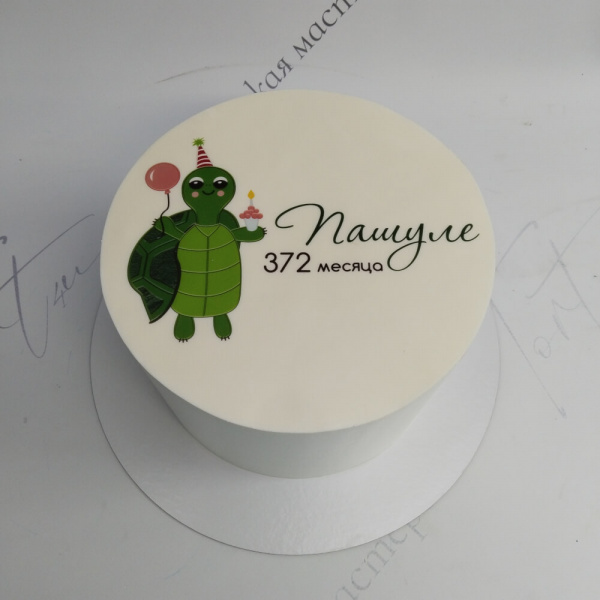 Торт Черепаха для папы на 372 месяца - 6424 на заказ в Москве, купить 2кг за 4200.00 ₽
