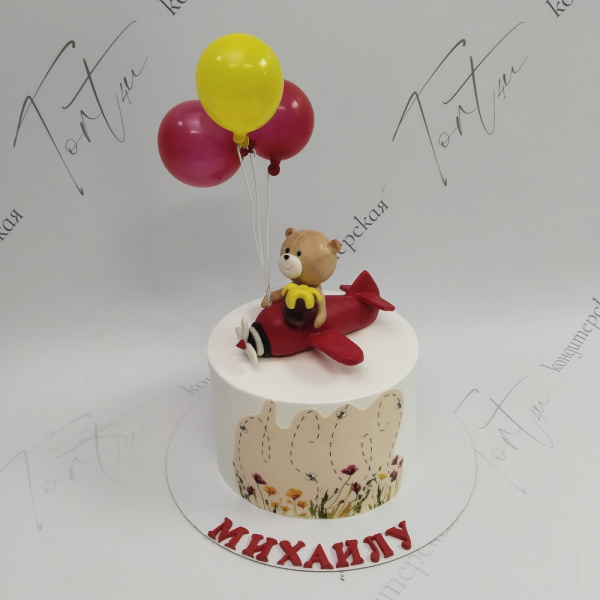 Торт Медвежонок и самолёт на 5 месяцев - 5307 на заказ в Москве, купить 2кг за 6200.00 ₽